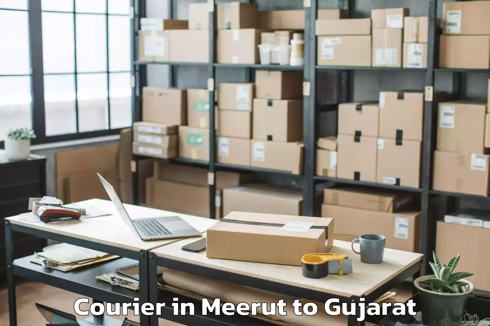 Easy Meerut to Veer Narmad South Gujarat Univ Courier Booking